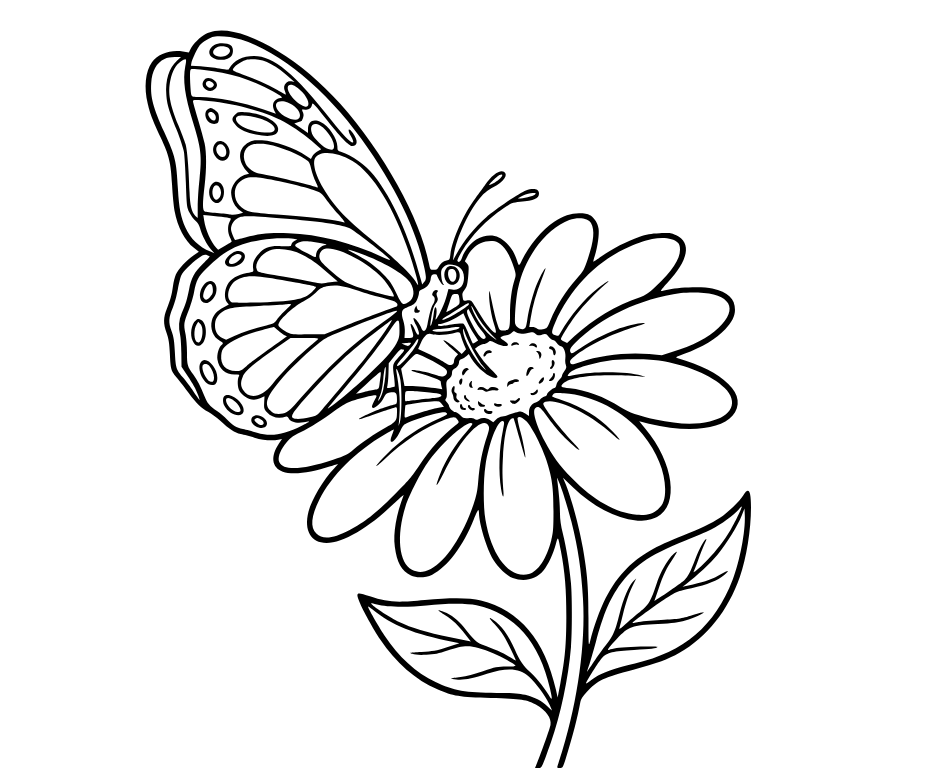 Butterfly on flower, colored by hazal