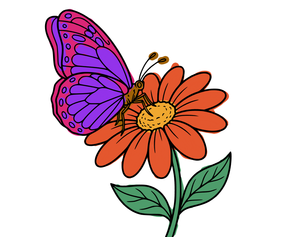 Butterfly on flower, colored by PinkTulipFields