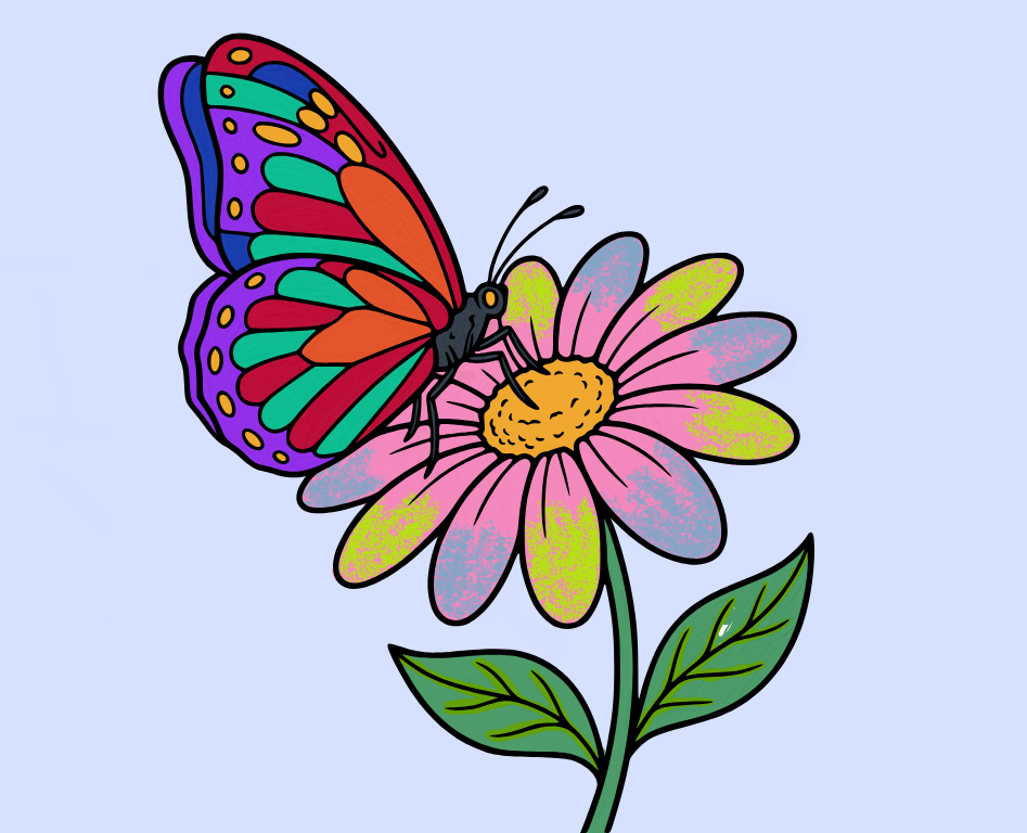 Butterfly on flower, colored by avery