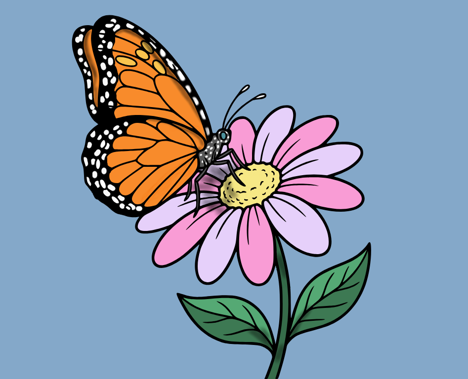 Butterfly on flower, colored by 𝓡𝓮𝓷⭑.ᐟ