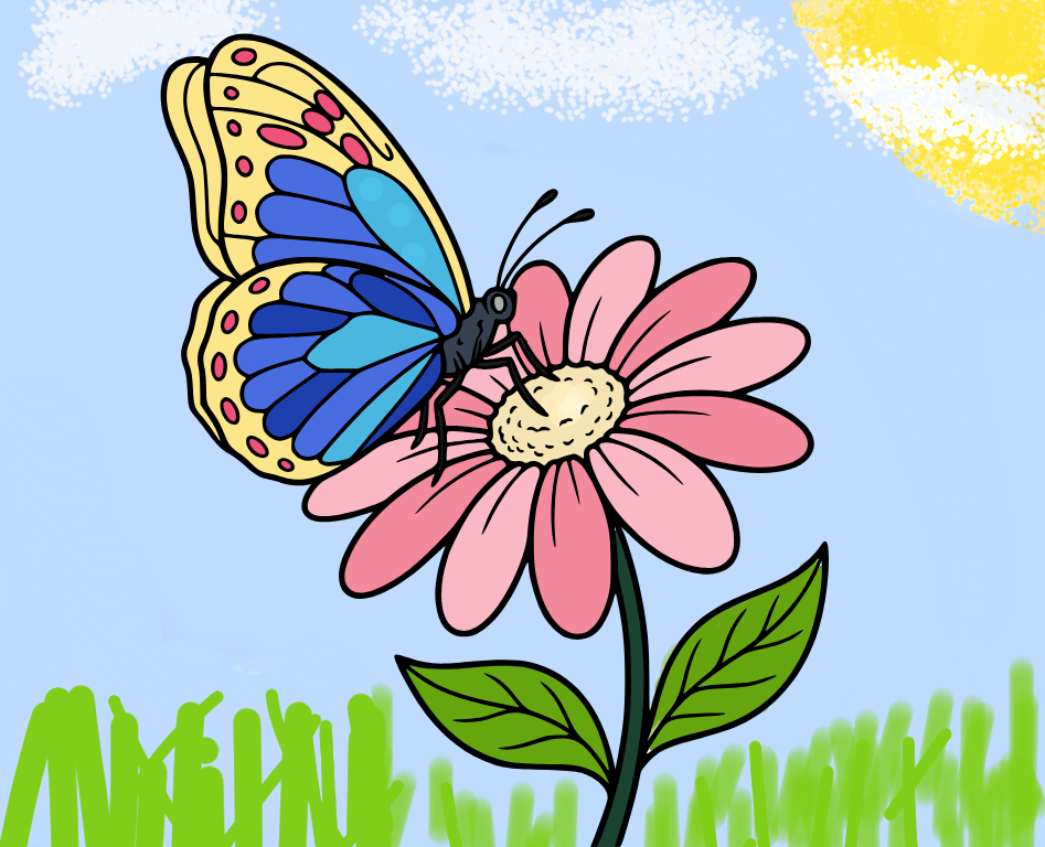 Butterfly on flower, colored by !A.Samy