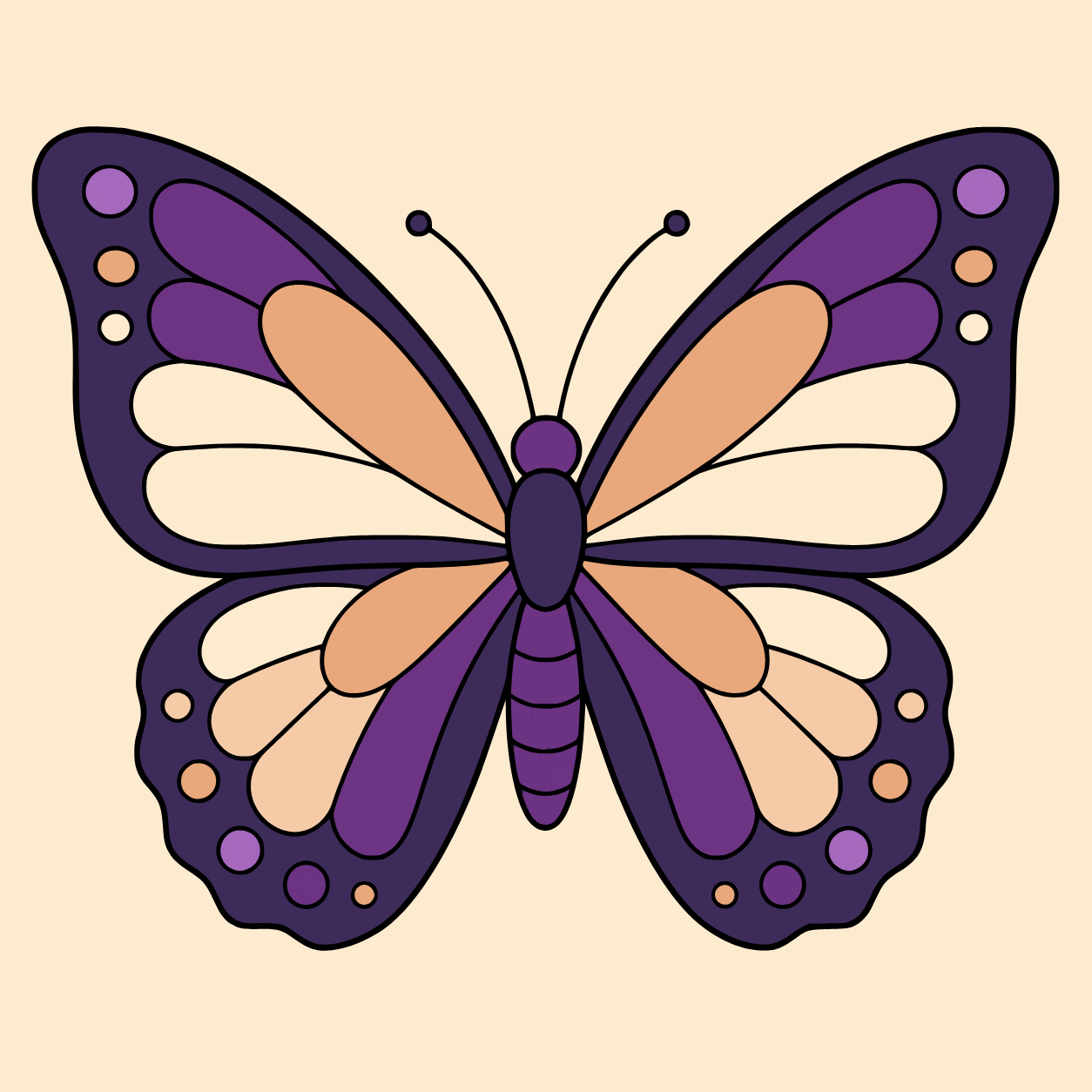 Butterfly, colored by Elvis Lleshi