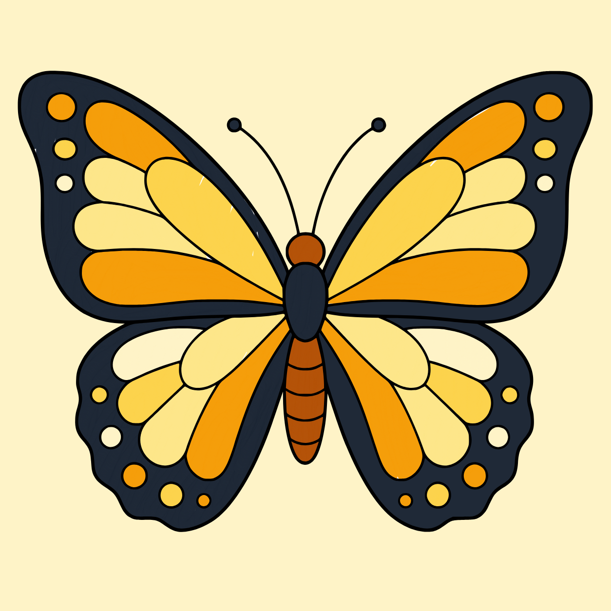 Butterfly, colored by Elvis Lleshi