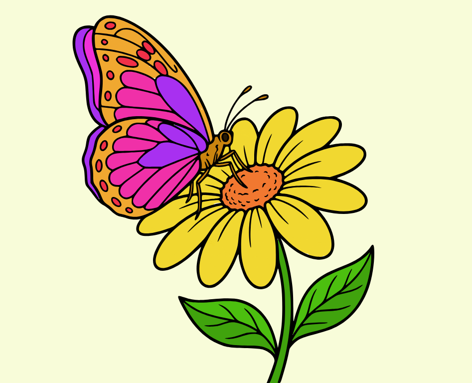 Butterfly on flower, colored by Elvis Lleshi