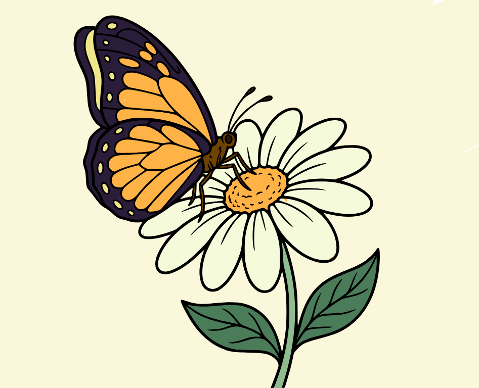 Butterfly on flower, colored by Elvis Lleshi